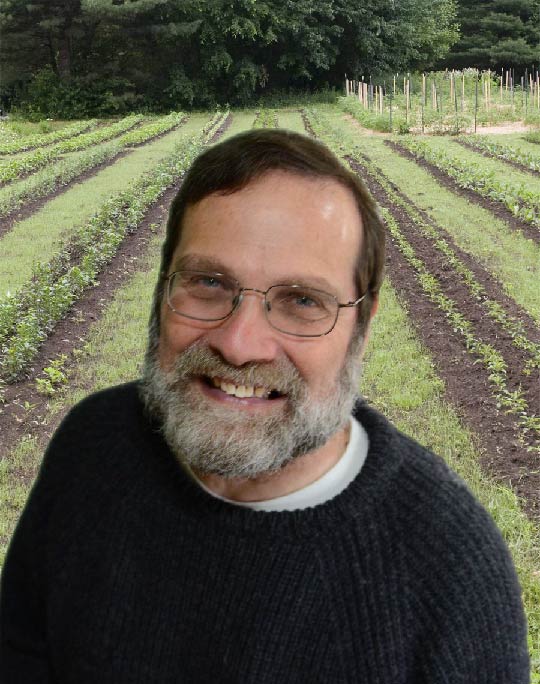 Arnold Bloom