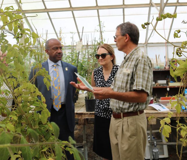 Plant geneticist Roger Chetelat (right) tells Chancellor Gary May and Dept. Chair Gail Taylor about the use of wild tomato species for improving tomato varieties. (photo: Ann Filmer/UC Davis)