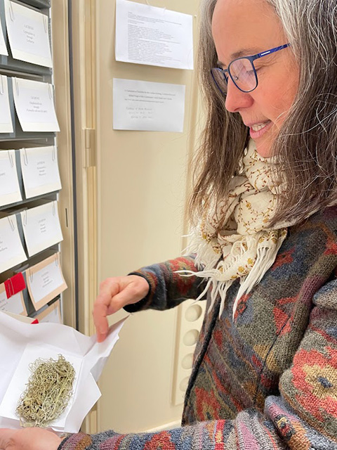 Woman at a cabinet of small drawers. She is holding a dried plant on what looks like tissue paper