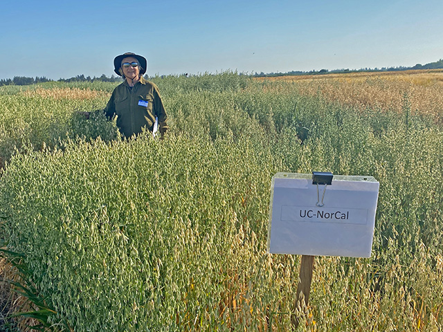 Field of green-gold grain, you can see the seed heads. A sign in the front and a woman standing behind wearing a hat