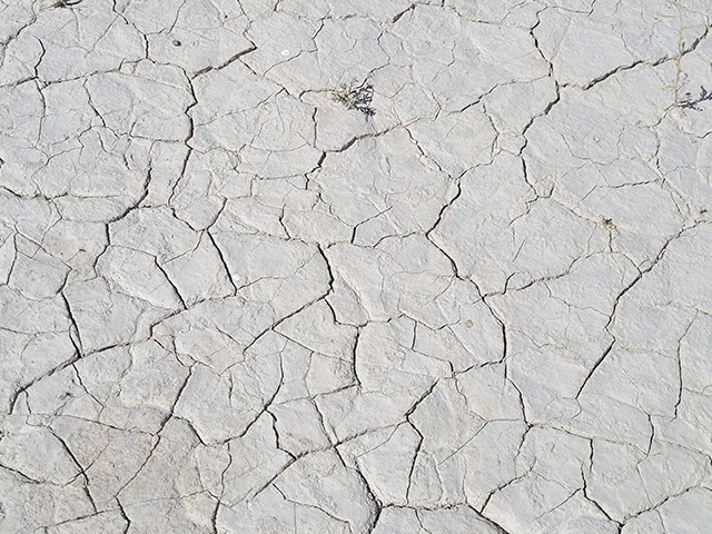 The cracked surface of the ground. Pale gray-tan color.