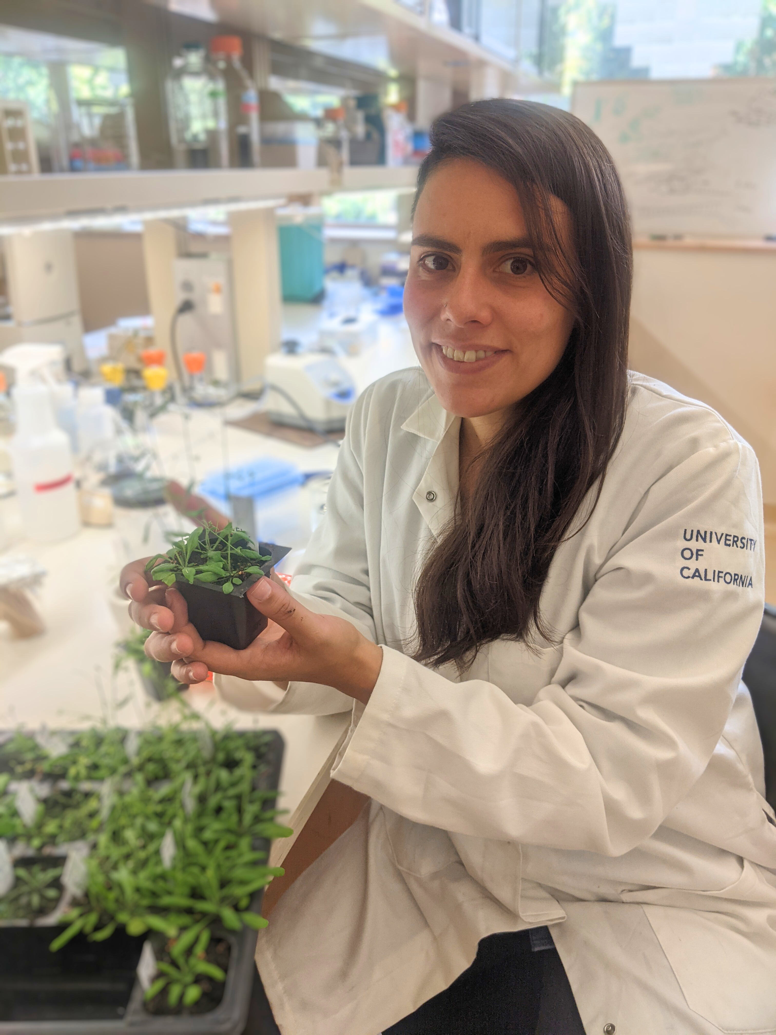 Woman with long brown hair in labcoat. She is smiling a holding a plant in the lab.