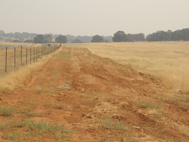 A field of short, light brown grass. To one side by a fence, you can see a white swath that has been mowed short.