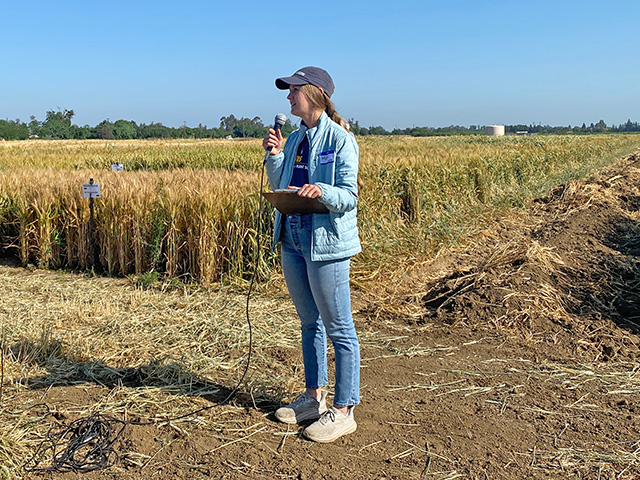 Young woman in front of a field of golden grain, holding a microphone and speaking