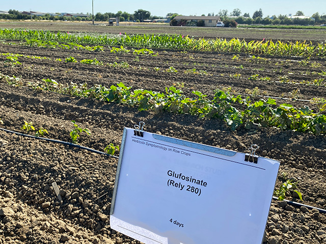 In front of rows of different crops, a small white sign reads, "Glufosinate Rely 280"