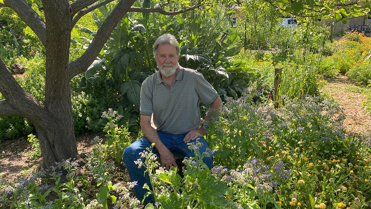 Man seated by a tree in a garden
