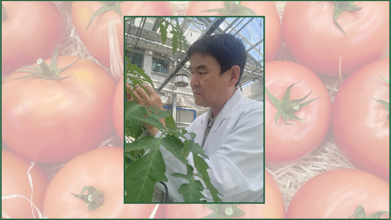 Man wearing white lab coat in a greenhouse with his hands up into some green plants
