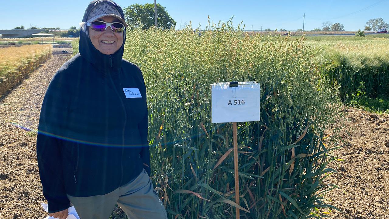 Woman bundled in wind-protective gear and sunglasses, standing by tall golden grain.