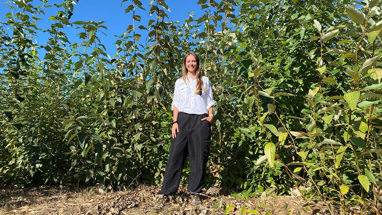 Young woman standing amid tall leafy green trees on a sunny day