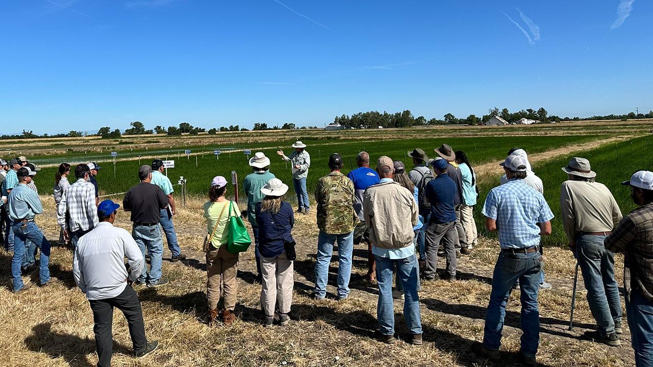 From a distance and kind of above, we see a small crowd of people at the edge of a green field. A man wearing a hat is speaking