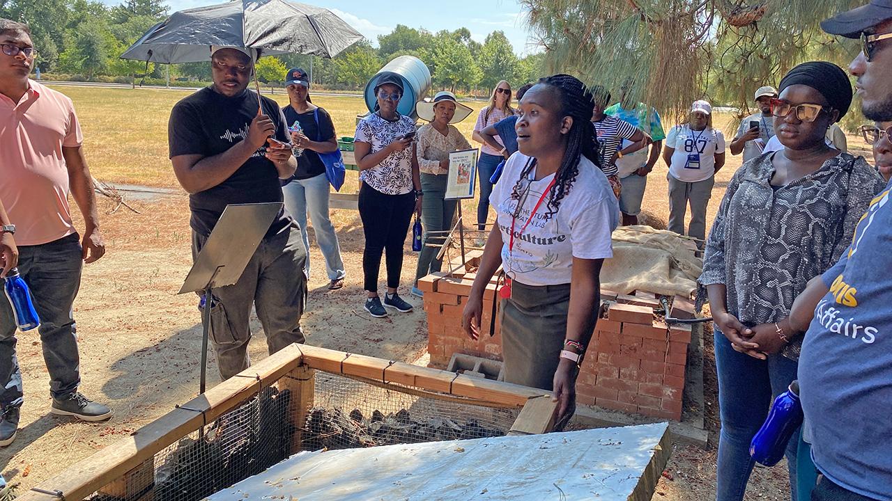 People gather around a chicken-wire box in a garden