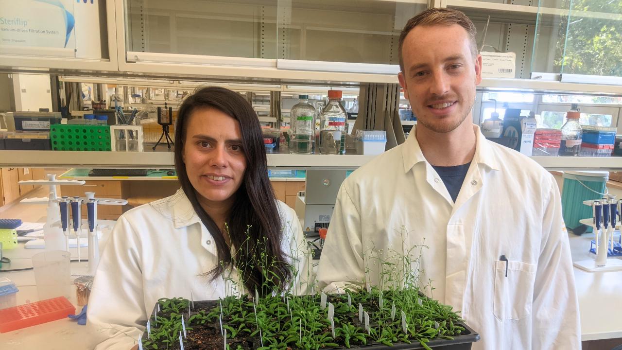 A man and a woman stand in a lab holding a tray of baby plants
