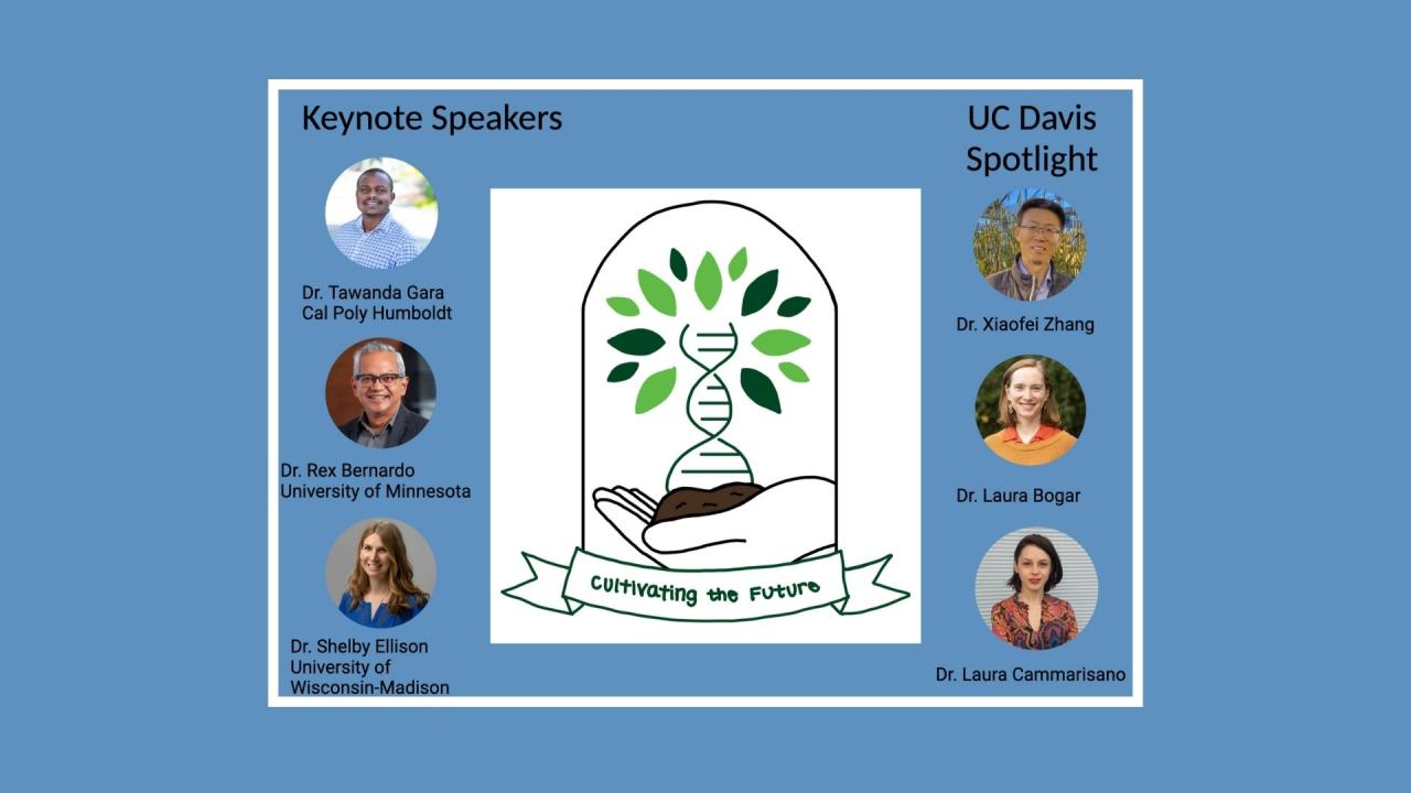 Poster screenshot over blue background