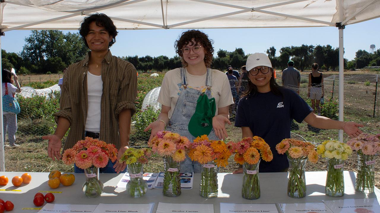 Three young people standing in a tent in front of many vases of beautiful flowers. The tent is in a field, you can see rows of crops and people behind them in the field.