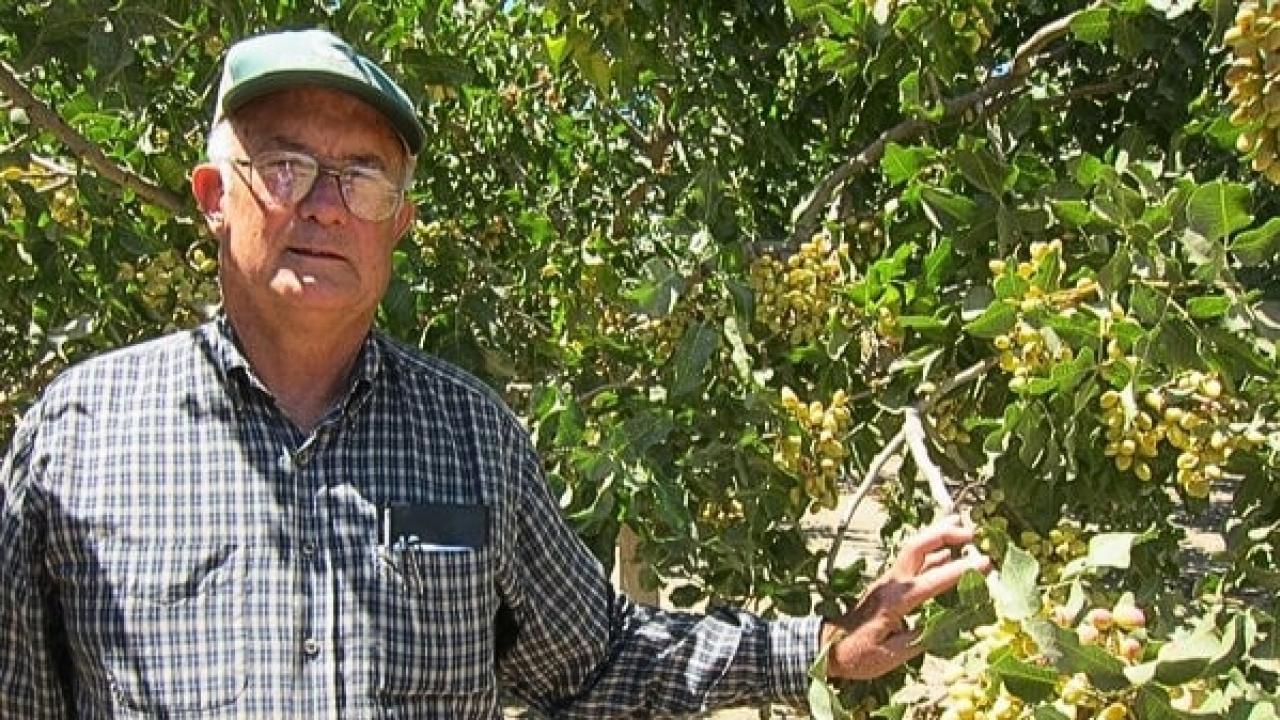 Man next to plant