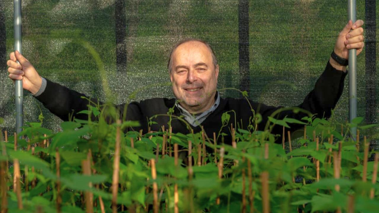 Man stands proudly over plants