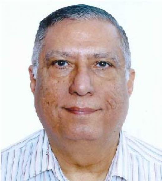 Ardeshir "Adi" B. Damania, Ph.D