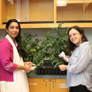 Cammarisano (right) and Akter (left) in the lab.