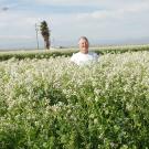 A field of tall grassy plants with white flowers at the top of each. A man stands in the middle of it, mid-range. In the distance, a hazy mountain.