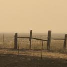 In a broad empty field, charred and broken fencing. The sky is grayish-orange. It looks like Armageddon.